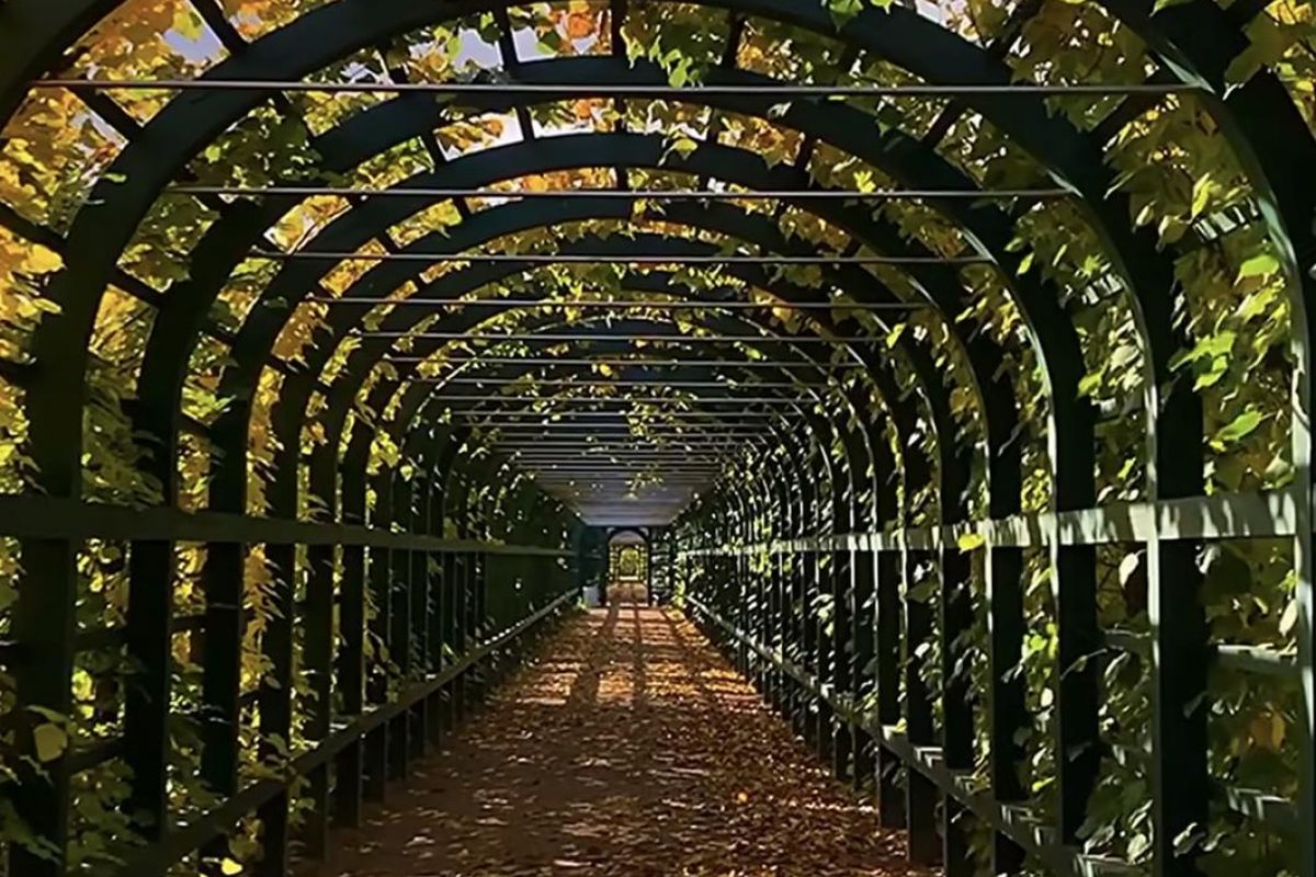 Детская (школьная) экскурсия в Петергоф.